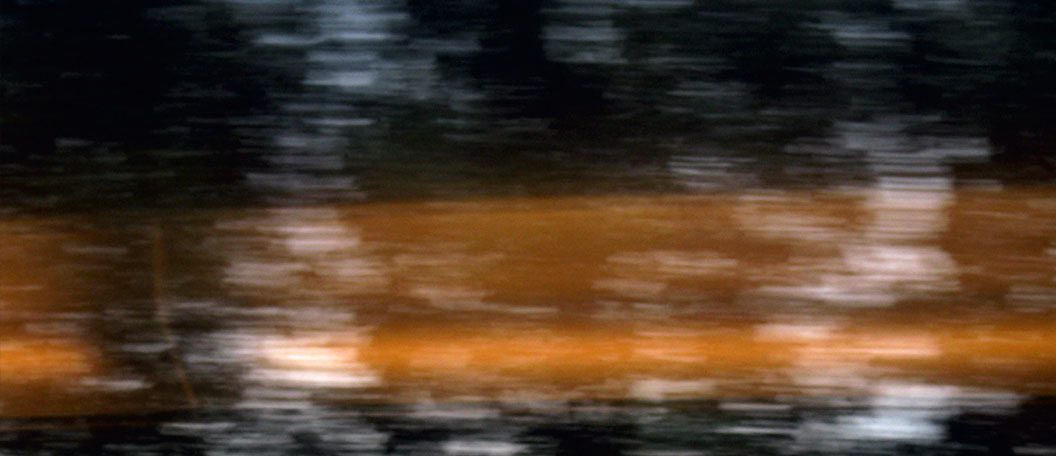 in_full_view